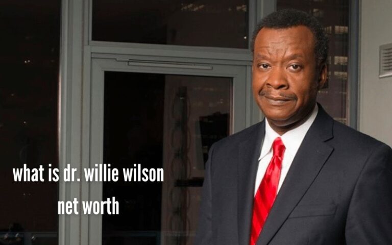 what is dr. willie wilson net worth