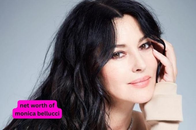 what is the net worth of monica bellucci