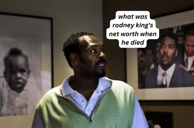 what was rodney king's net worth when he died